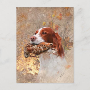Vogelhund, Waldhundjagd Postkarte