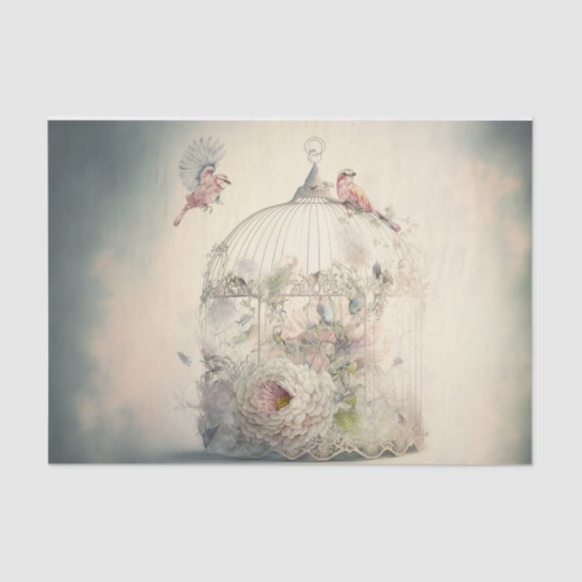 Vogelkäfig Seidenpapier (Vorderseite)