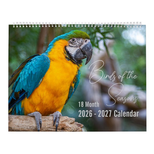 Vogelkalender 18 Monate. Wählen Sie Ihren Startmon Kalender (Titelbild)