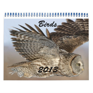 Vogelkalender 2013 kalender