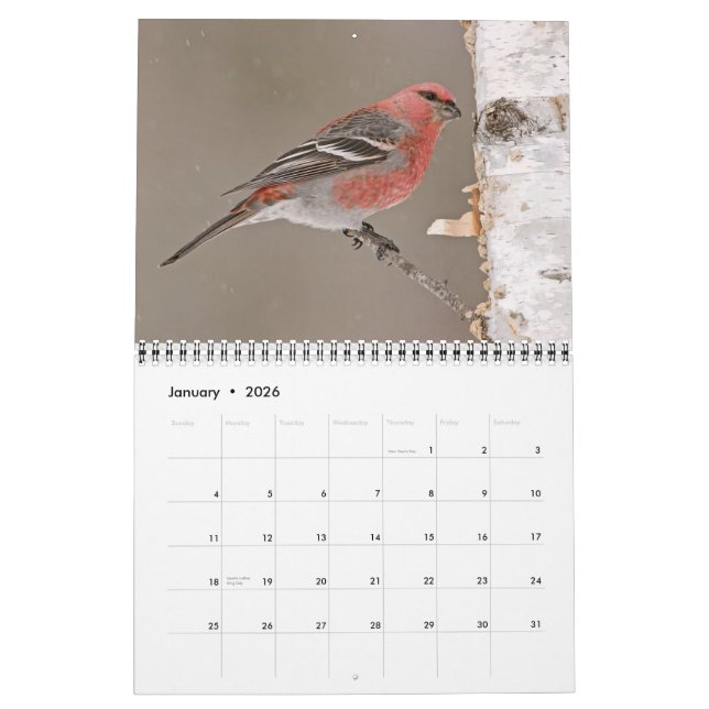 Vogelkalender 2013 kalender (Jan 2026)