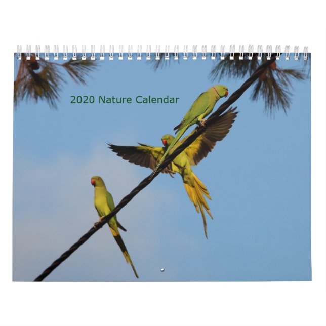 Vogelkalender 2020 und Blume Kalender (Titelbild)