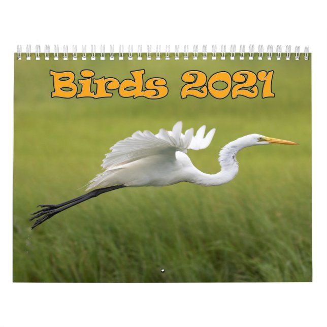 Vogelkalender 2021 kalender (Titelbild)