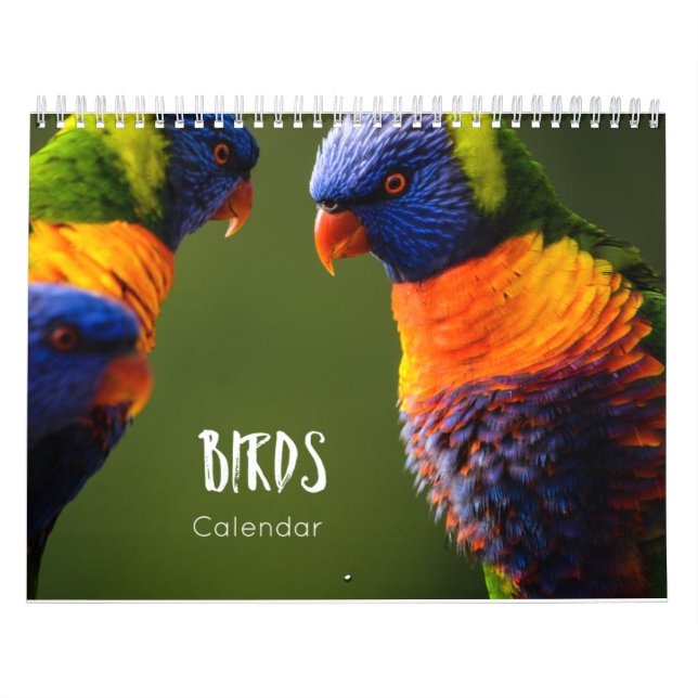 Vogelkalender 2023 kalender (Titelbild)