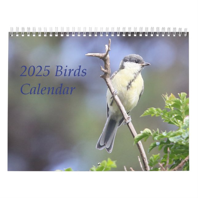 Vogelkalender 2025 kalender (Titelbild)