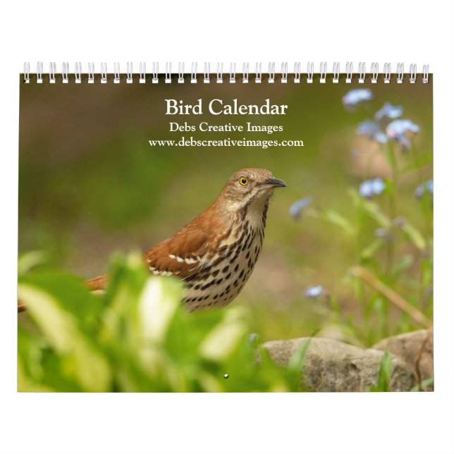 Vogelkalender 2026 kalender (Titelbild)