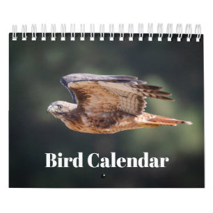 Vogelkalender 2026 kalender