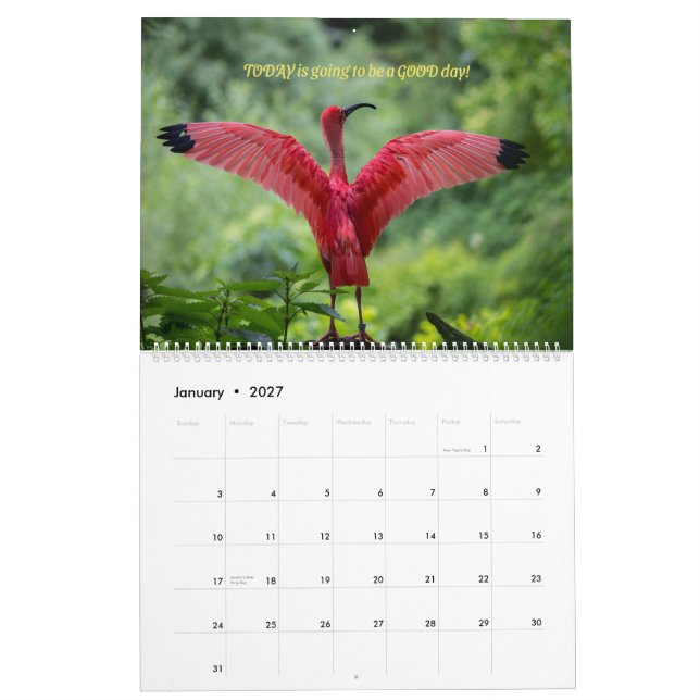 Vogelkalender 2026 - mit Bibelversen Kalender (Jan 2027)