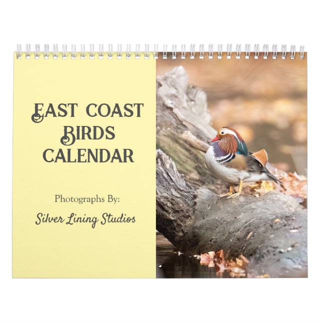 Vogelkalender an der Ostküste Kalender (Titelbild)