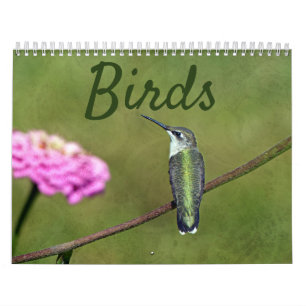 Vogelkalender Kalender