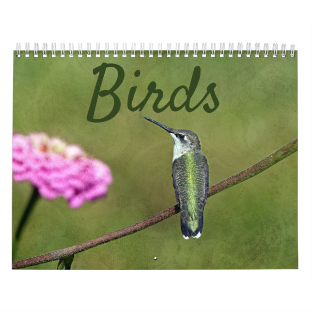 Vogelkalender Kalender (Titelbild)