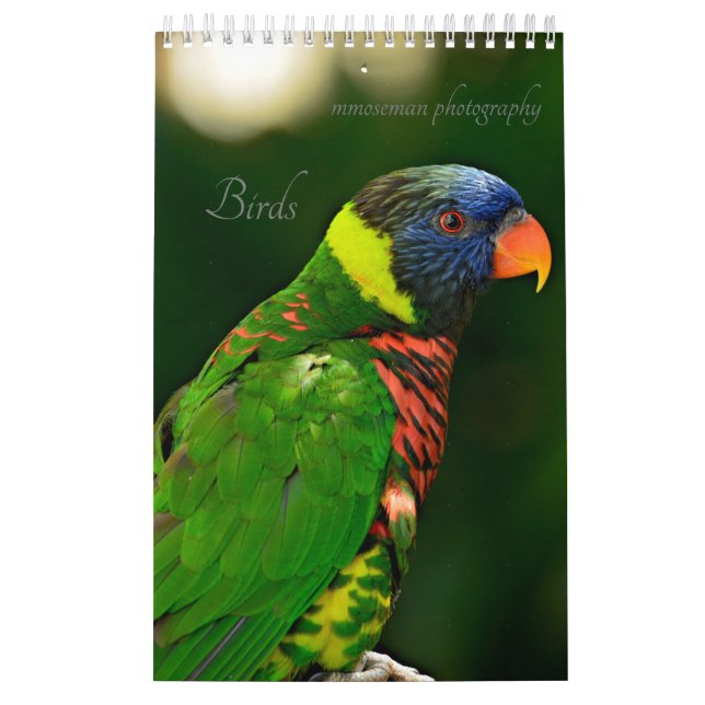 Vogelkalender Kalender (Titelbild)