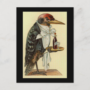 Vogelkellner Postkarte