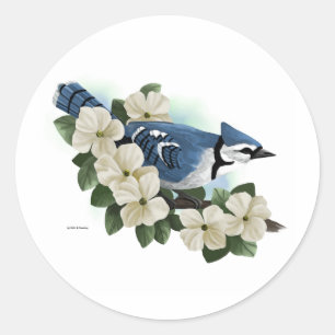 Vogelkleber Runder Aufkleber