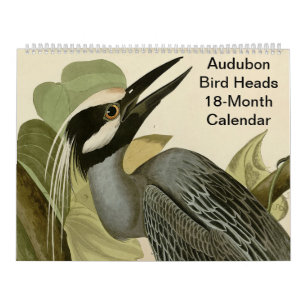 Vogelköpfe Audubon 18 Monate Kalender