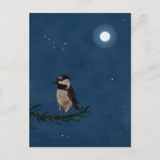 Vogelkunst an der Nacht mit dem Mond, Groß Dipper, Postkarte