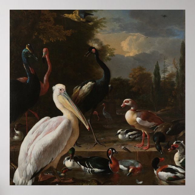 Vogelkunst Poster (Vorne)