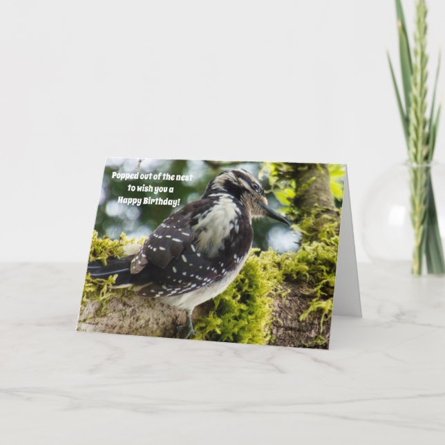 Vogelliebhaber Geburtstagskarte Karte (Vorderseite)