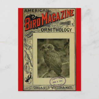 Vogelmagazin 8. Juni 1903 Postkarte