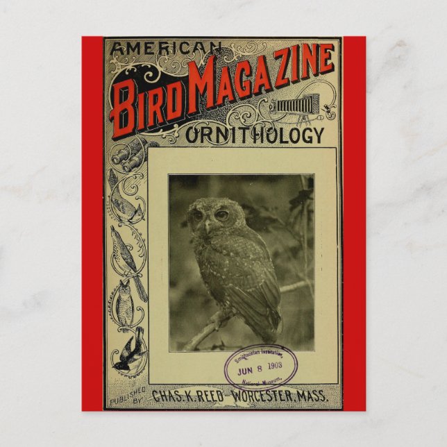 Vogelmagazin 8. Juni 1903 Postkarte (Vorderseite)