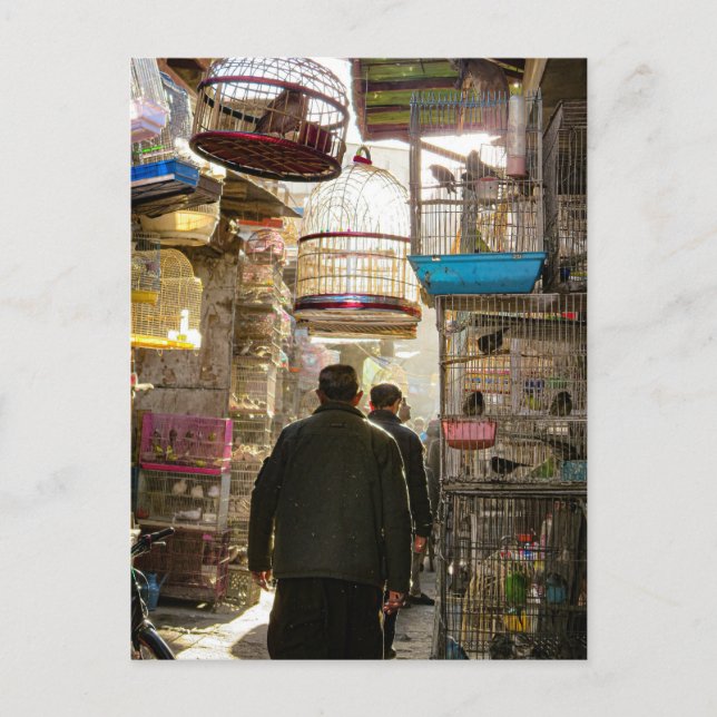 Vogelmarkt in Kabul, Afghanistan Postkarte (Vorderseite)