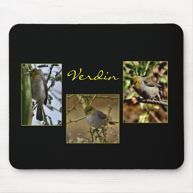 Vogelmousepad Verdin Mousepad (Vorne)