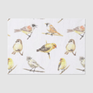 Vogelmuster Seidenpapier