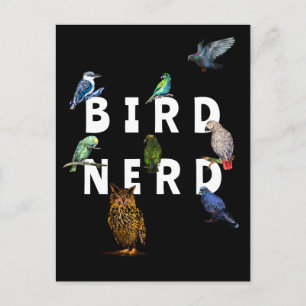 VOGELNARR, Papageien, Eule, Tauben, Kookaburra Postkarte