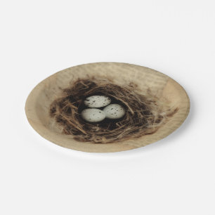 Vogelnest Alte Vintage Antike Retro Braun Eier Pappteller