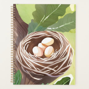 Vogelnest Aquarell-Eier Naturmalerei Planer