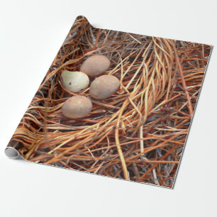 Vogelnest Braune Eier Alt Vintage Antik Retro Geschenkpapier