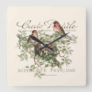 Vogelnest Carte Postale Französisch Vintage Quadratische Wanduhr