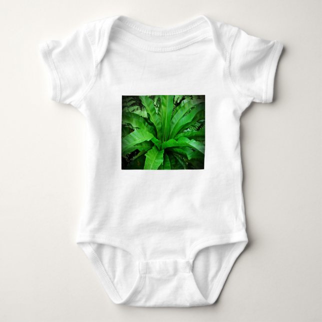 Vogelnest Fern Baby Strampler (Vorderseite)