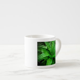 Vogelnest Fern Espressotasse