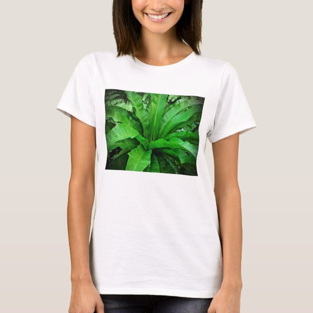 Vogelnest Fern T-Shirt (Vorderseite)