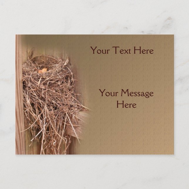 Vogelnest in Zaun-Natur Postkarte (Vorderseite)