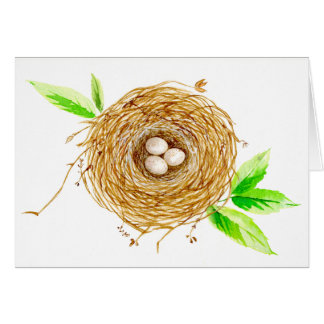 Vogelnest mit 3 Eiern