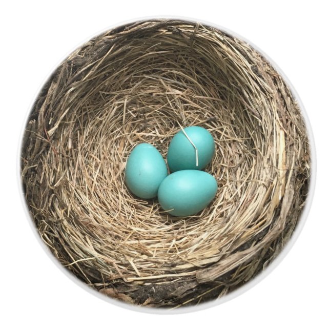 Vogelnest mit blauen Eiern Keramikknauf (Vorderseite)