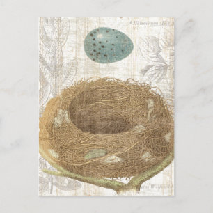 Vogelnest mit dekorativem Ei Postkarte