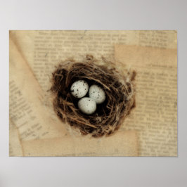 Vogelnest mit Eiern Moderne Vintage Ostern Poster