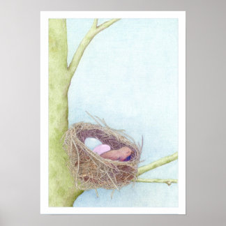Vogelnest Poster