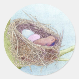 Vogelnest-Sticker Runder Aufkleber