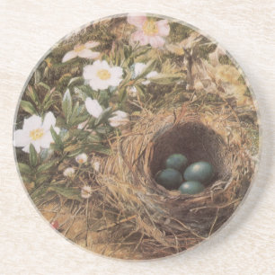 Vogelnest und Heckenrosen von John William Hill Getränkeuntersetzer