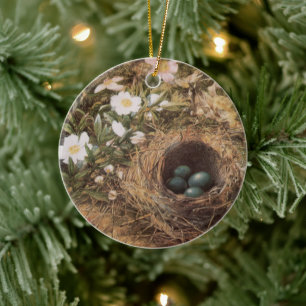 Vogelnest und Hundsrosen von John William Hill Keramikornament