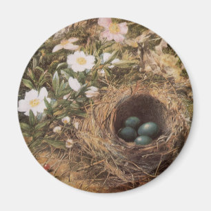 Vogelnest und Hundsrosen von John William Hill Magnet