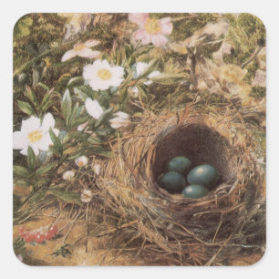 Vogelnest und Hundsrosen von John William Hill Quadratischer Aufkleber