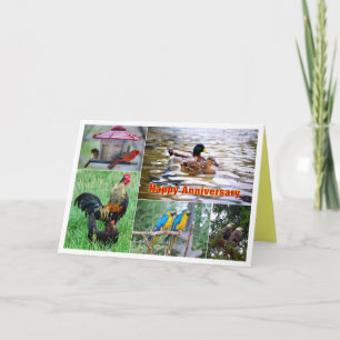 Vogelpaar-Collage Herzlichen Glückwunsch zum Hochz Karte