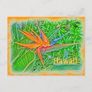 Vogelparadies Hawaii Postkarte