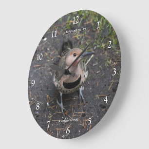 Vogelperspektive des Buntspechts Große Wanduhr
