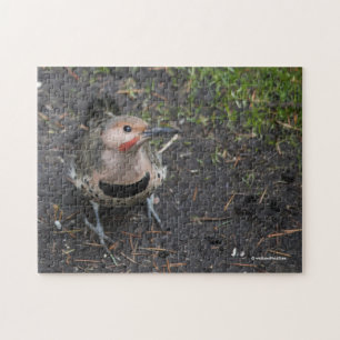 Vogelperspektive des Buntspechts Puzzle